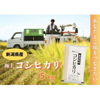 ふるさと納税 阿賀野市 新潟県阿賀野市産 コシヒカリ 5kg