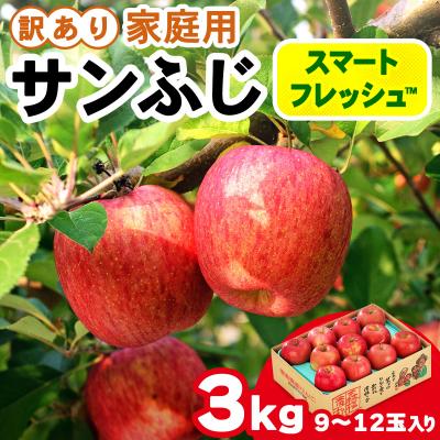 ふるさと納税 つがる市 訳あり サンふじ スマートフレッシュ3kg [0794]