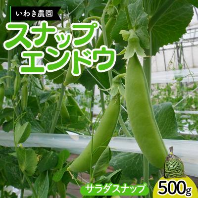 ふるさと納税 山田町 [5月中旬〜6月中旬発送!] スナップエンドウ 500g いわき農園 三陸山田 山田町 野菜