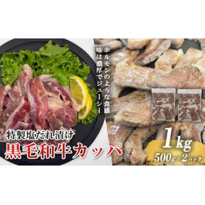 ふるさと納税 小山町 黒毛和牛カッパ(肉ホルモン) 特製塩だれ漬け 500g × 2パック