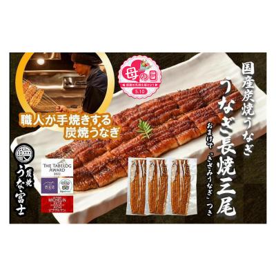 ふるさと納税 名古屋市 [母の日]特大うなぎ 長焼 3尾(1尾160g)×3袋 たれ&amp;山椒付き