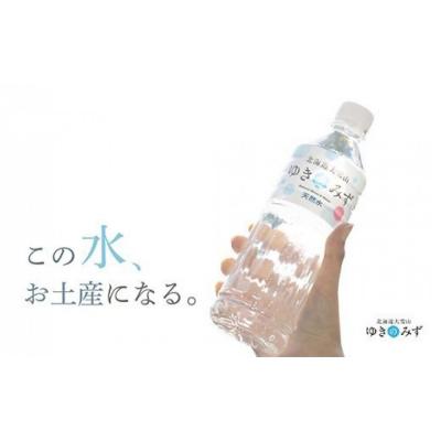 ふるさと納税 上川町 [毎月定期便]北海道大雪山 ゆきのみず 550ml×24本入り[619]全3回