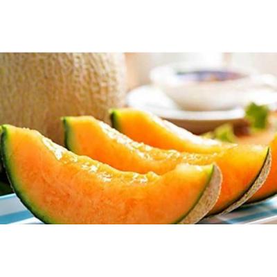 ふるさと納税 上川町 特大サイズ[2026年夏発送]岸田農園産北海道メロン2玉入り(サイズ:1玉2.5kg以上)[213]