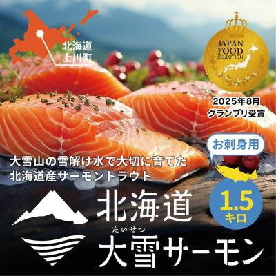 ふるさと納税 上川町 大雪山連峰の雪どけ水で育てた北海道大雪サーモン刺身用1.5kg約150g×10個程度【1205】 | 