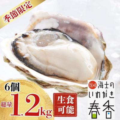 ふるさと納税 海士町 [肉厚!]いわがき春香 6個|1.2kg 手のひらサイズの極上岩牡蠣(生食可)