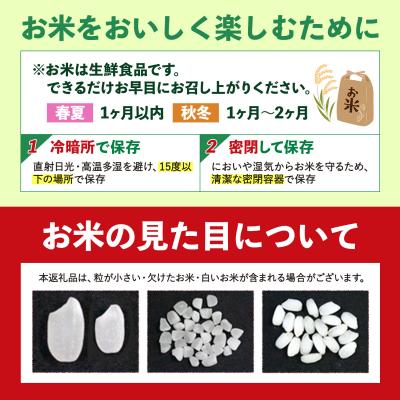 ふるさと納税 氷川町 ひごみのり 無洗米 熊本県産 ブレンド米 5kg《1-5