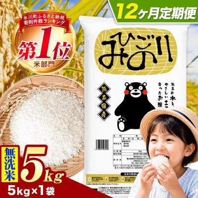 ふるさと納税 氷川町 【12ヶ月定期便】ひごみのり 無洗米 熊本県産
