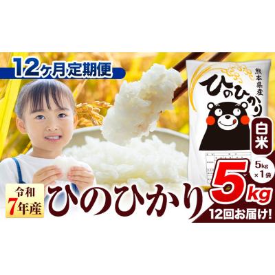ふるさと納税 氷川町 [12ヶ月定期便]令和7年産 ひのひかり 白米 熊本県産 5kg[お申込み翌月から出荷]