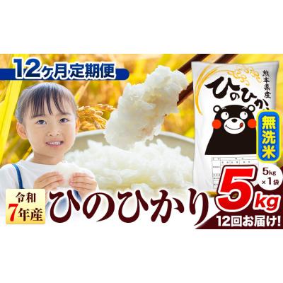 ふるさと納税 氷川町 [12ヶ月定期便]令和7年産 ひのひかり 無洗米 熊本県産 5kg[お申込み翌月から出荷]