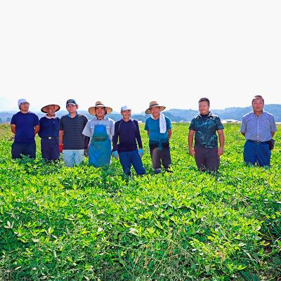 ふるさと納税 鉱山町 【先んずる取っておく】≪令和8年産米≫ 鉱山町産はえぬき 精米 定期便3ヶ月 10kg×3回 F4B-0809