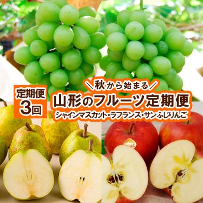 ふるさと納税 山形市 [秋から始まる定期便3回]山形のフルーツ定期便 FZ26-760