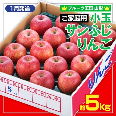ふるさと納税 山形市 [R9年1月発送]★フルーツ王国★ 小玉サンふじりんご(無袋・家庭用)約5kg FZ26-812