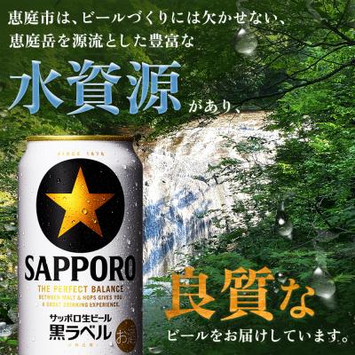 ふるさと納税 恵庭市 【定期便:全10回】サッポロ黒ラベル 350ml×24本【880040011910】_2