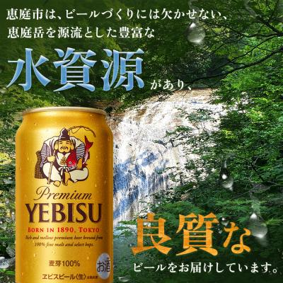 ふるさと納税 恵庭市 【定期便:全11回】サッポロヱビスビール 350ml×24本【880060021911】_2