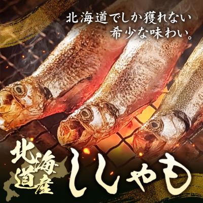 ふるさと納税 日高町 北海道産 ししゃも メス M30尾 有限会社阿部水産[14日以内に出荷予定]