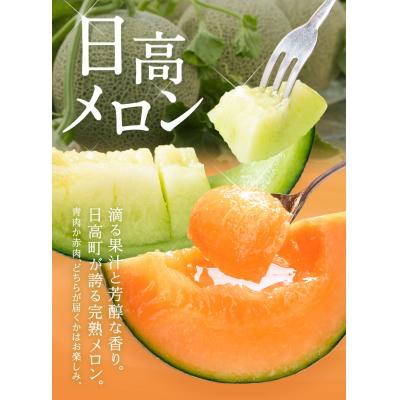 ふるさと納税 日高町 [先行予約]日高メロン 4-6玉 (8-9kg) のざわ農園[7月上旬-8月中旬頃出荷]