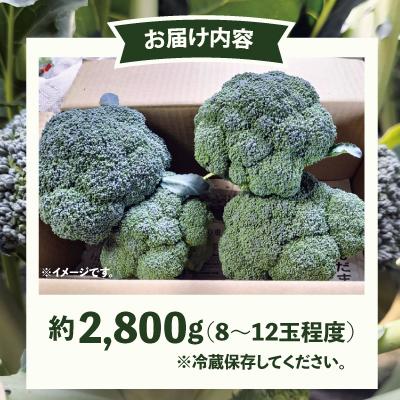 ふるさと納税 大館市 採りたて新鮮!ブロッコリー 約2800g_2
