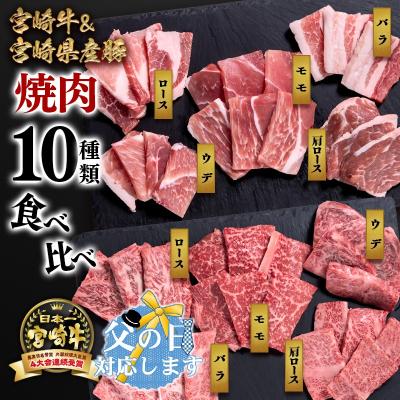 ふるさと納税 西都市 [父の日ギフト]宮崎牛&amp;宮崎県産豚肉 焼肉10種盛り 焼肉セット計600g[3003]
