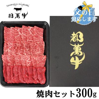 ふるさと納税 西都市 [父の日ギフト][都萬牛]黒毛和牛焼肉セット 300g宮崎県産黒毛和牛[3167]