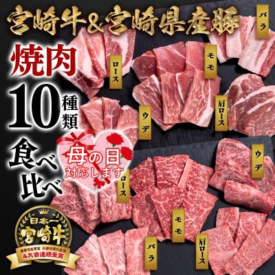 ふるさと納税 西都市 [母の日ギフト]宮崎牛&amp;宮崎県産豚肉 焼肉10種盛り 焼肉セット計600g[3003]