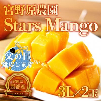 ふるさと納税 西都市 [父の日ギフト]宮野原農園[3Lサイズ2個]宮崎県西都市産完熟マンゴー スターズマンゴー[2903]