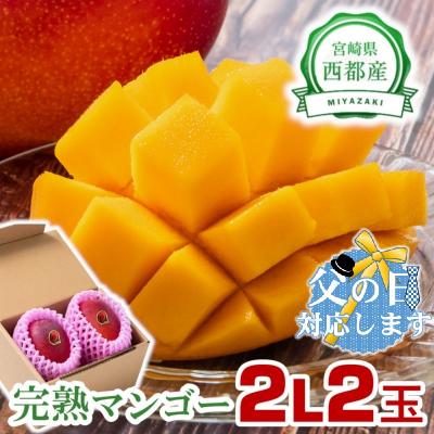 ふるさと納税 西都市 [父の日ギフト]『2L×2玉』西都市産完熟マンゴー2玉[2641]