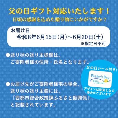 ふるさと納税 西都市 【父の日ギフト】『2L×2玉』西都市産完熟マンゴー2玉[2641]_3