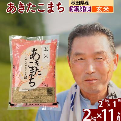ふるさと納税 北秋田市 令和7年産《定期便11ヶ月》秋田県産あきたこまち2kg【玄米】|oomr-20111 | 