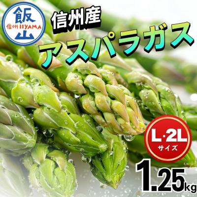 ふるさと納税 飯山市 [期間限定]信州産 アスパラガス L・2Lサイズセット 1.25kg