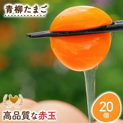 ふるさと納税 古賀市 青柳たまご20個