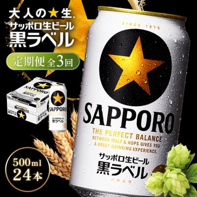 ふるさと納税 恵庭市 【定期便全3回】サッポロ黒ラベル500ml×24本