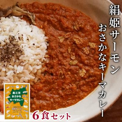 ふるさと納税 設楽町 絹姫サーモン 奥三河おさかなキーマカレー 6個セット 魚 サーモン レトルトカレー