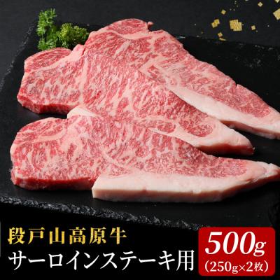 ふるさと納税 設楽町 国産牛 段戸山高原牛 サーロインステーキ用 2枚 500g (250g×2) 牛肉 赤身 サーロイン