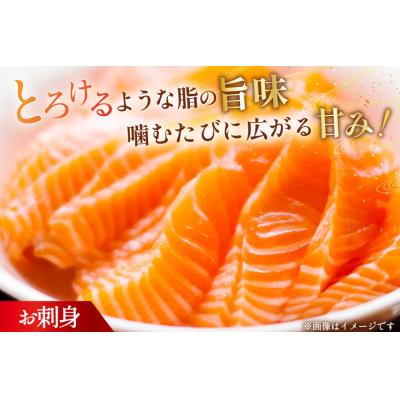 ふるさと納税 気仙沼市 訳あり サーモン 刺身 トロ ハラス フィーレ 総重量4kg [20565969]_3