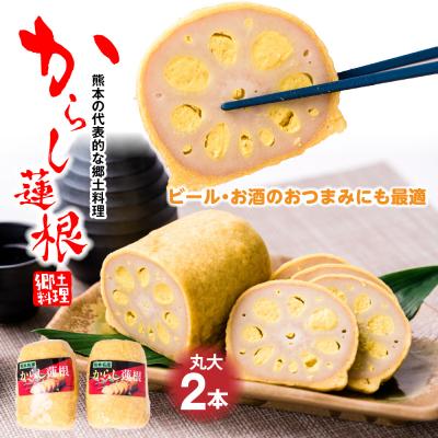 ふるさと納税 八代市 高見 からし蓮根 丸大 600g (1本300g前後×2本)_062-2914-C