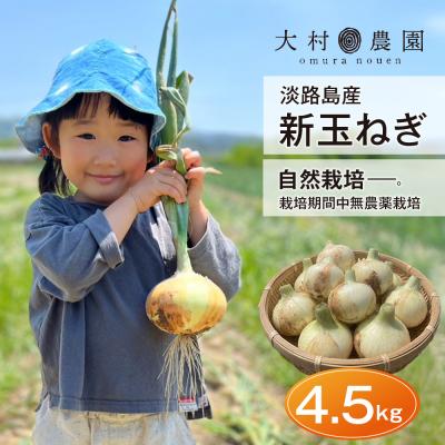 ふるさと納税 淡路市 新玉ねぎ 自然栽培 4.5kg (栽培期間中無農薬栽培)