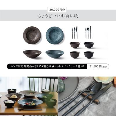 ふるさと納税 加賀市 ARASのお買いものカード30,000円分 ARAS エイラス 割れないうつわ F6P-3158 |  | 03