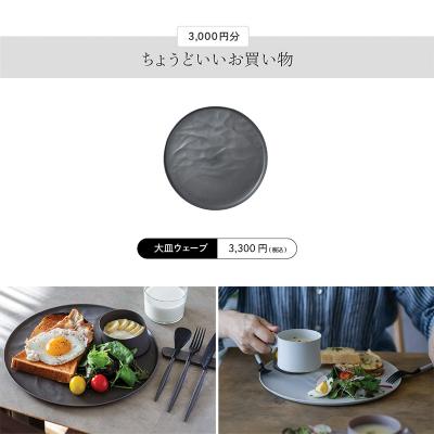 ふるさと納税 加賀市 ARASのお買いものカード3,000円分 ARAS F6P-2625 |  | 03