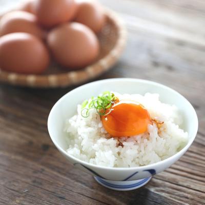 ふるさと納税 庄内町 スズキのたまご 地養卵 MS〜L 6個 新鮮 卵 たまご 鶏卵 生卵 地養卵 赤たまご |  | 01