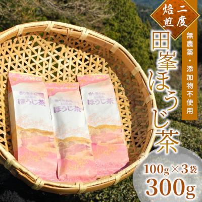 ふるさと納税 設楽町 栽培期間中農薬不使用 香り豊かな田峯のほうじ茶 100g×3袋セット お茶 ほうじ茶