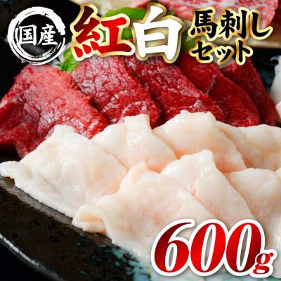 ふるさと納税 八代市 国産 熊本肥育 紅白馬刺しセット 合計600g (赤身500g・コウネ100g)