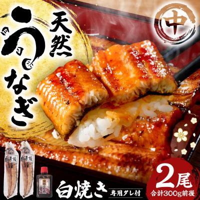 ふるさと納税 八代市 熊本県八代市産 天然うなぎ 白焼 (中) 2尾 合計300g前後