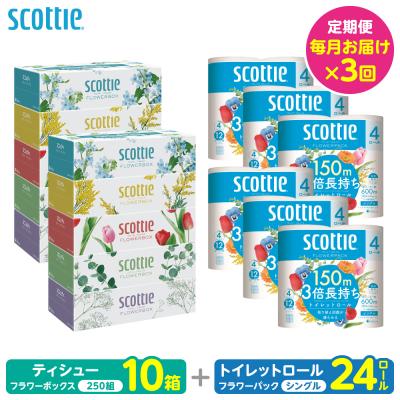 ふるさと納税 八代市 定期便3回 ティッシュ10箱トイレットペーパー シングル24ロール_186-6572-A