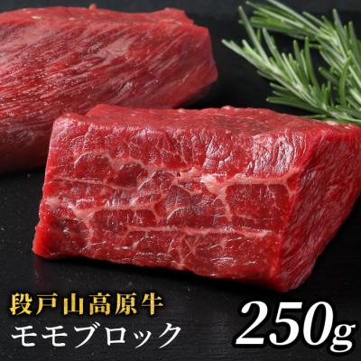 ふるさと納税 設楽町 国産牛 赤身が美味しい 段戸山高原牛 モモブロック 250g 牛肉 赤身ブロック 塊肉