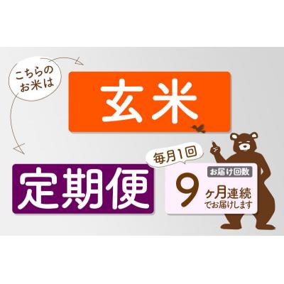 ふるさと納税 北秋田市 R8産 新米受付 《定期便9ヶ月》秋田県産あきたこまち2kg【玄米】|oomr-20109s_3