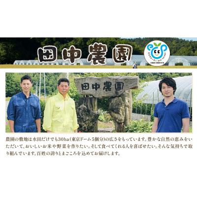 ふるさと納税 日高町 令和7年産 おぼろづき&amp;ななつぼし 各5kg 10kg 田中農園[30日以内出荷予定(土日祝除く)]
