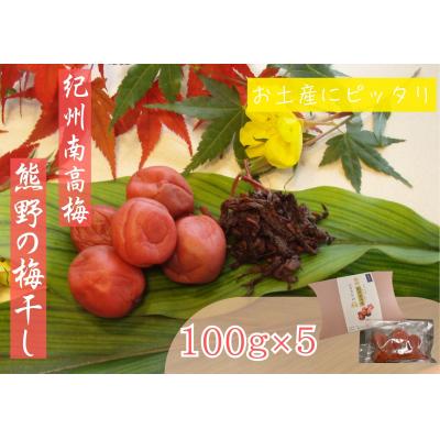 ふるさと納税 熊野市 お土産にピッタリ♪梅干し100g×5p