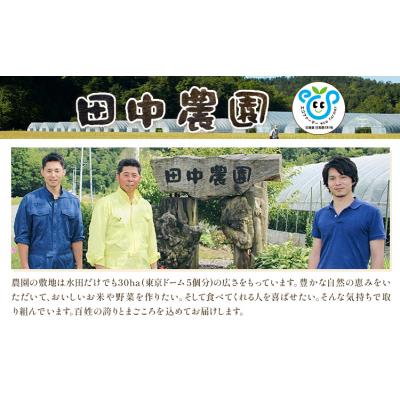 ふるさと納税 日高町 令和7年産 ゆめぴりか&amp;ななつぼし各5kg 10kg 田中農園[30日以内出荷予定(土日祝除く)]