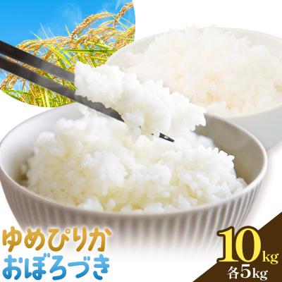 ふるさと納税 日高町 令和7年度 ゆめぴりか&amp;おぼろづき 各5kg 10kg 田中農園[30日以内出荷予定(土日祝除く)]