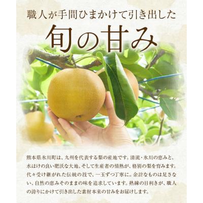 ふるさと納税 氷川町 先行予約 旬 梨 フルーツ 豊水梨 約2kg 豊水 株式会社エフビーネット[8月中旬-9月上旬頃出荷